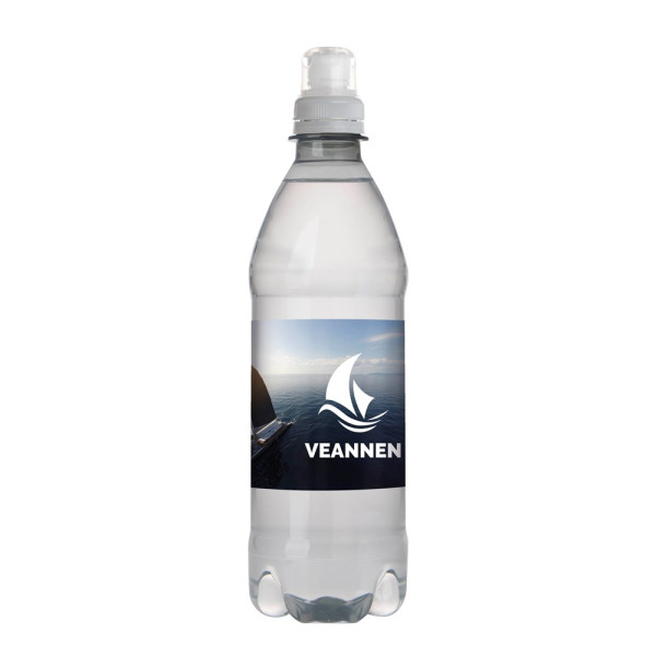 Quellwasser 500 ml mit Sportverschluß